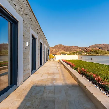 Villa Jerina Mansion By Pikhost